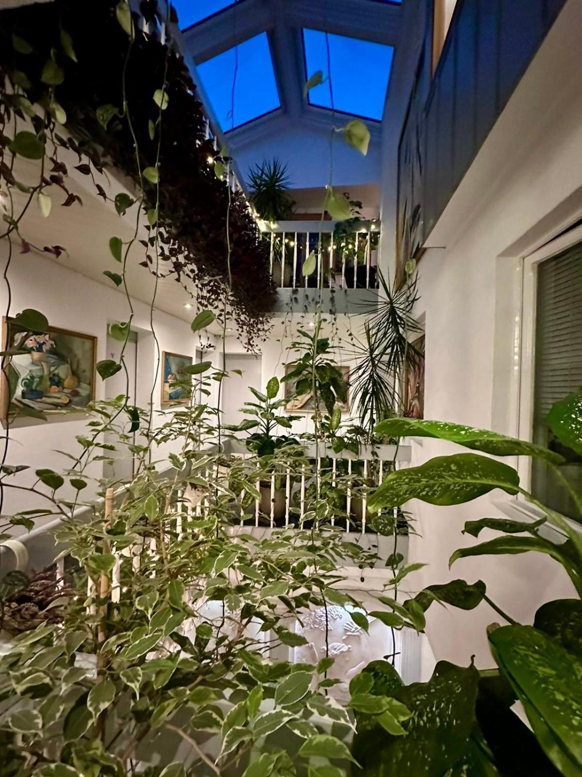Villa Helvetia Targu Mures Exterior foto